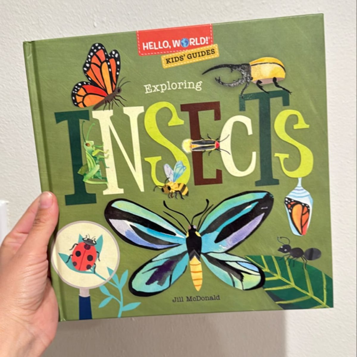 Hello, World! Kids' Guides: Exploring Insects by Jill McDonald