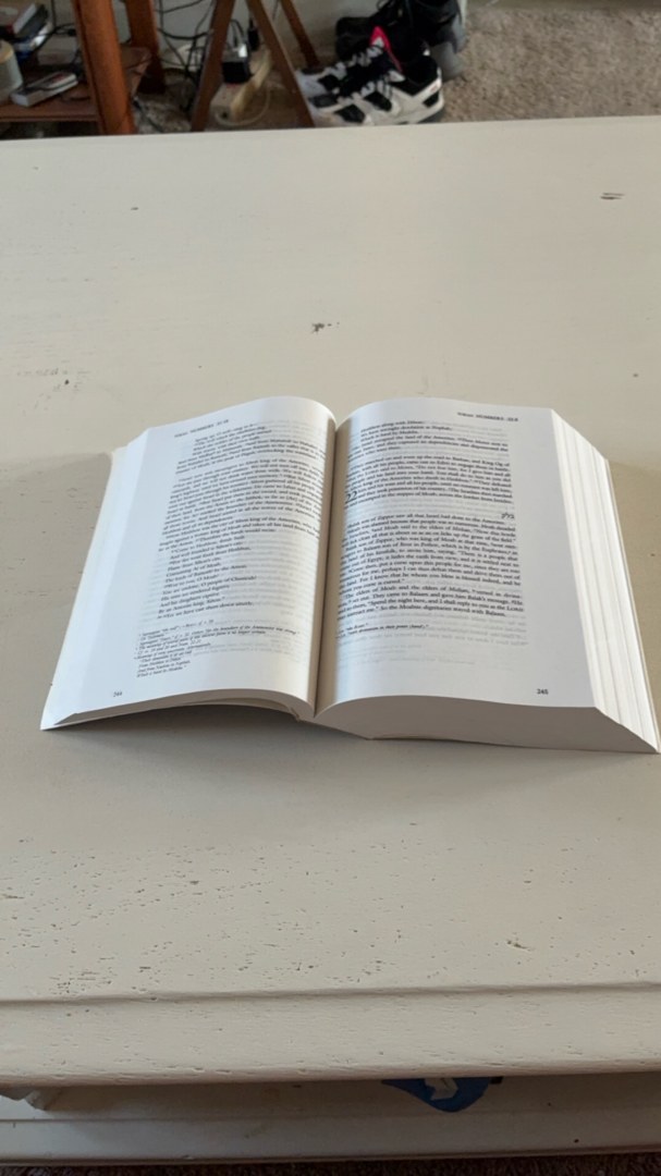 JPS TANAKH: the Holy Scriptures (blue)