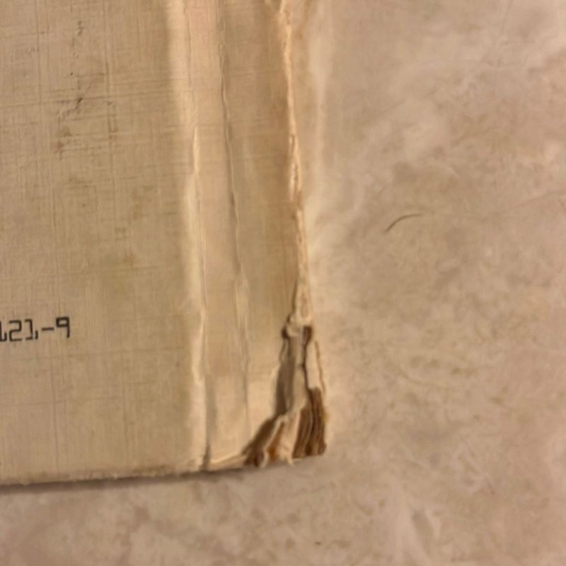 Aren't You Forgetting Something, Fiona?