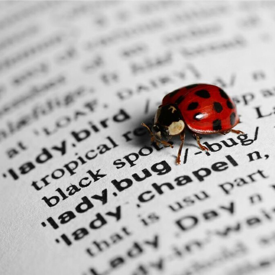 🐞✨SarahBug✨🐞