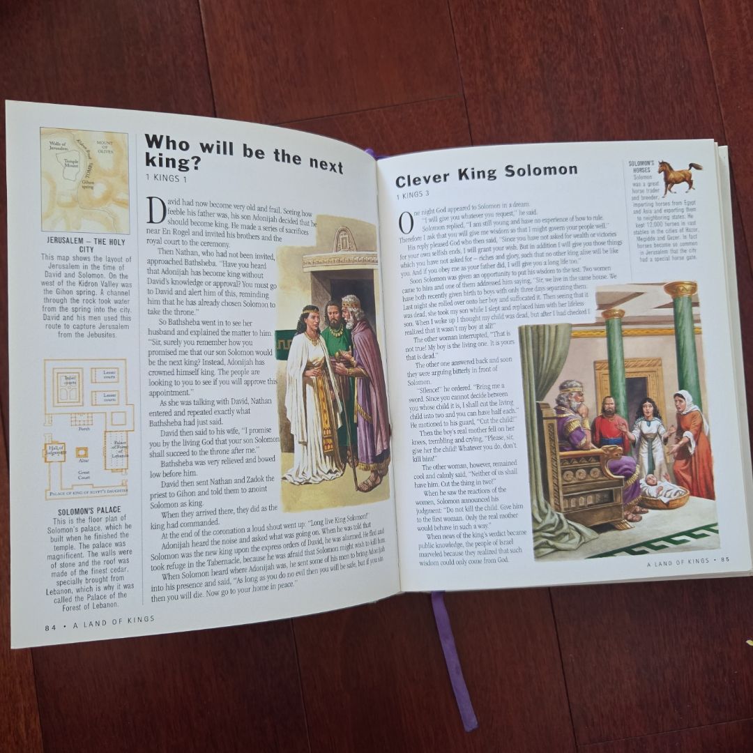 Illustrated Family Bible Stories