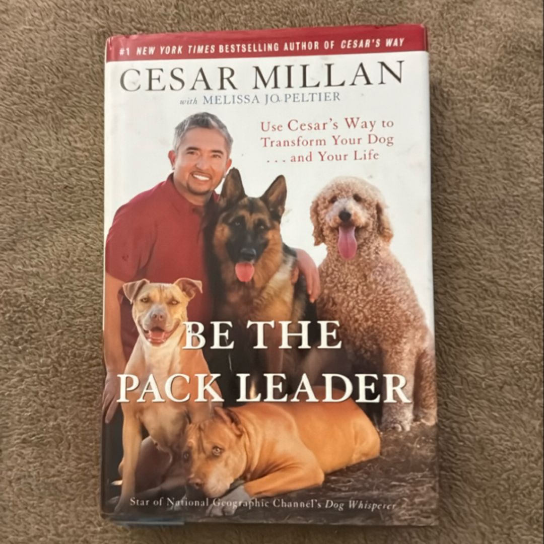 Be the Pack Leader