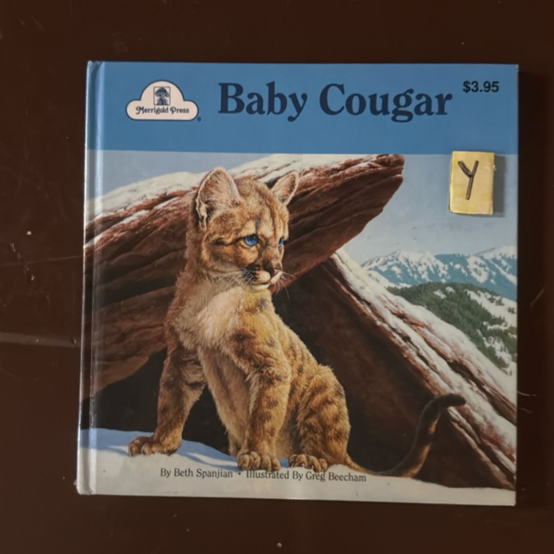 Baby Cougar