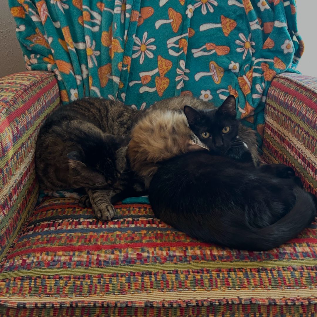 Olivia&Abby