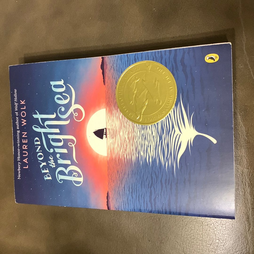 Beyond the Bright Sea