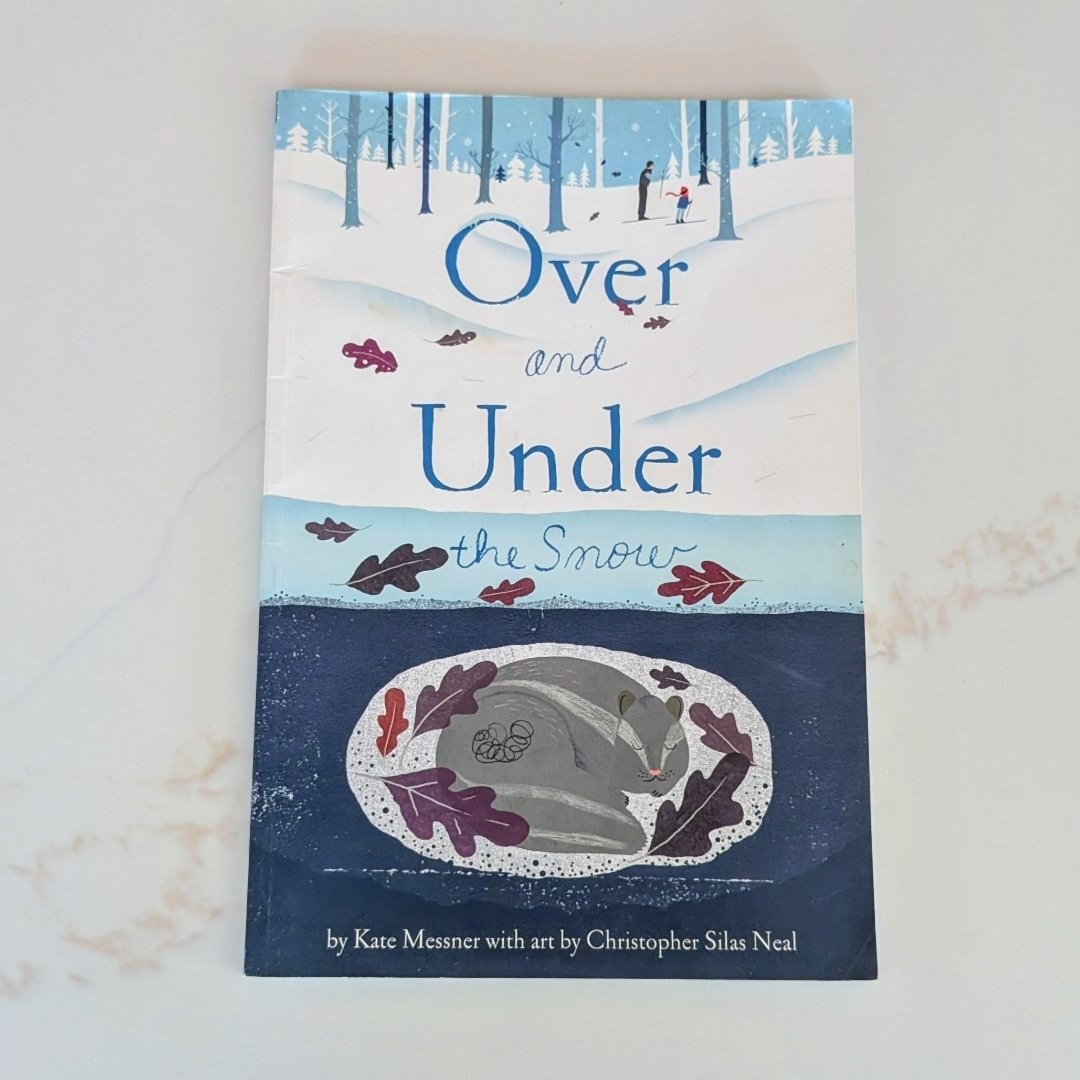 Over and under the Snow