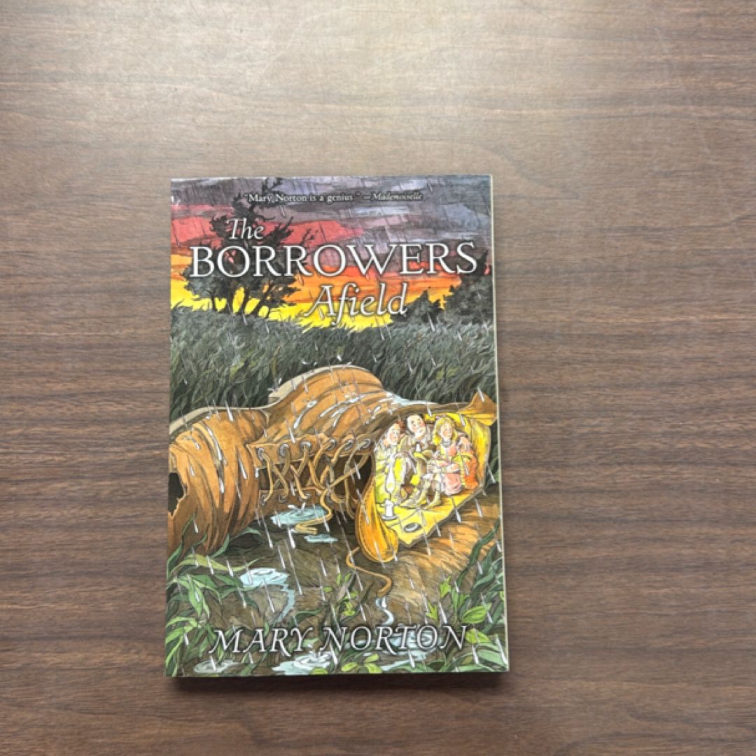 The Borrowers Afield