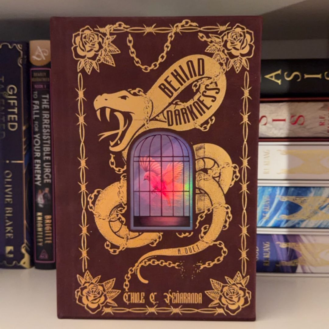 Behind Darkness Duet Omnibus