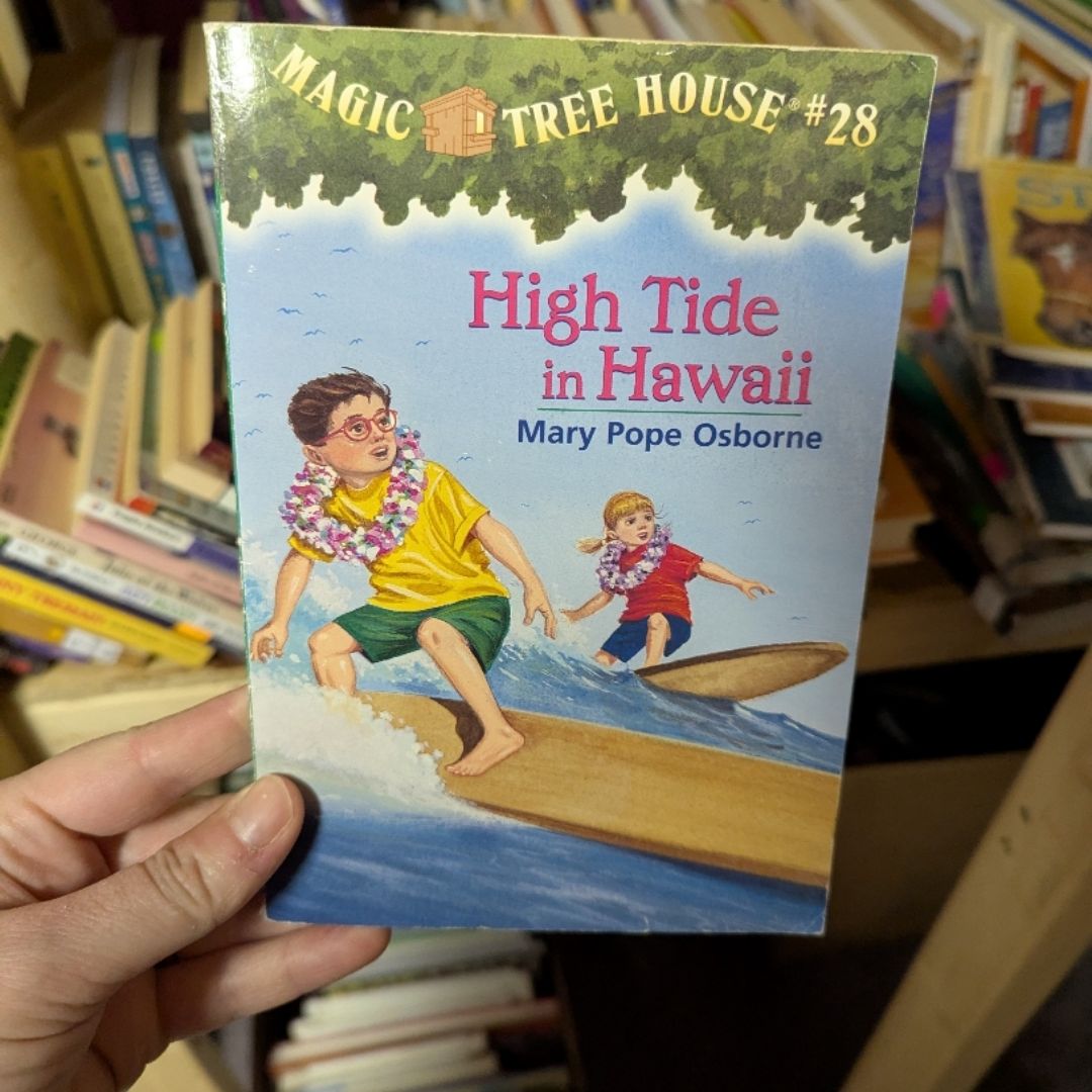 High Tide in Hawaii