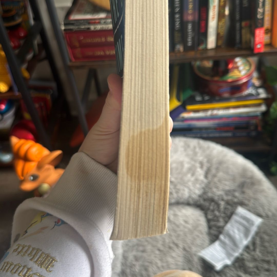 The Last Time I Lied