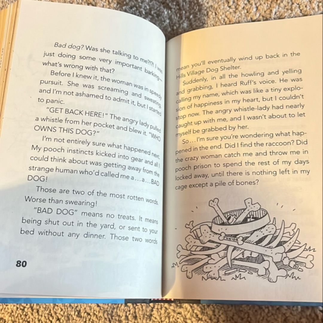 Dog Diaries
