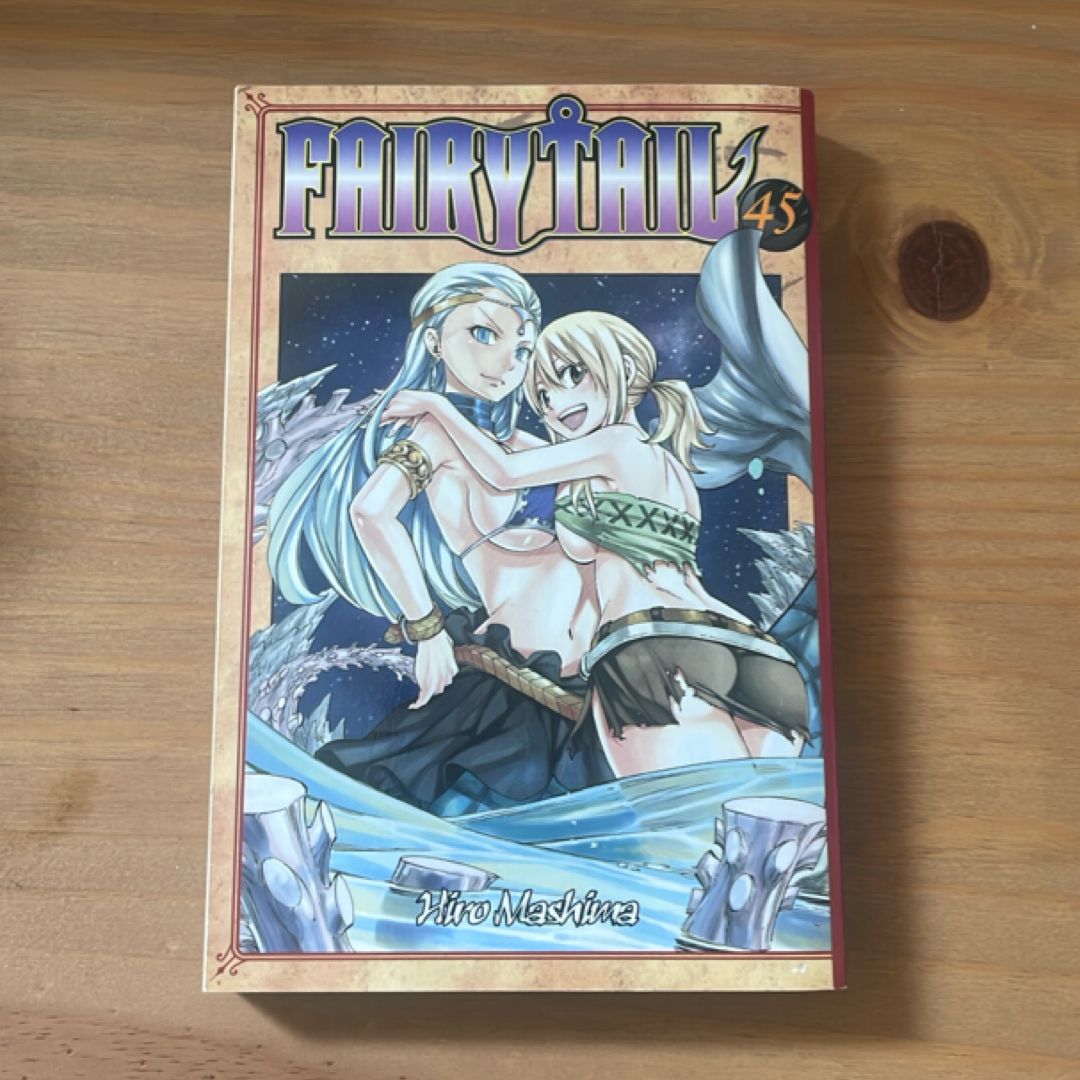 Fairy Tail 45