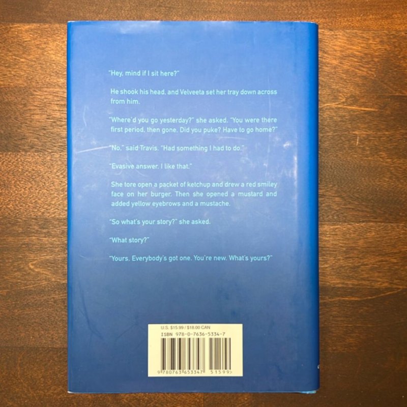 Bluefish by Pat Schmatz, Hardcover | Pangobooks