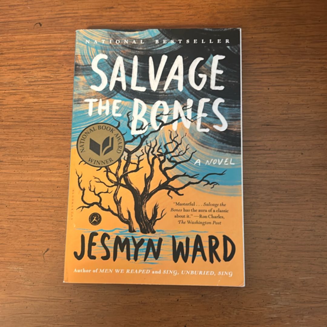Salvage the Bones