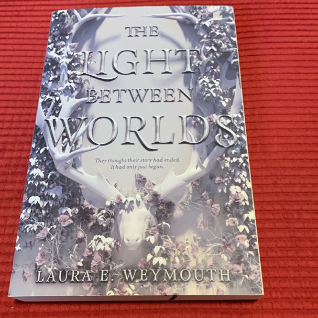 The Light Between Worlds