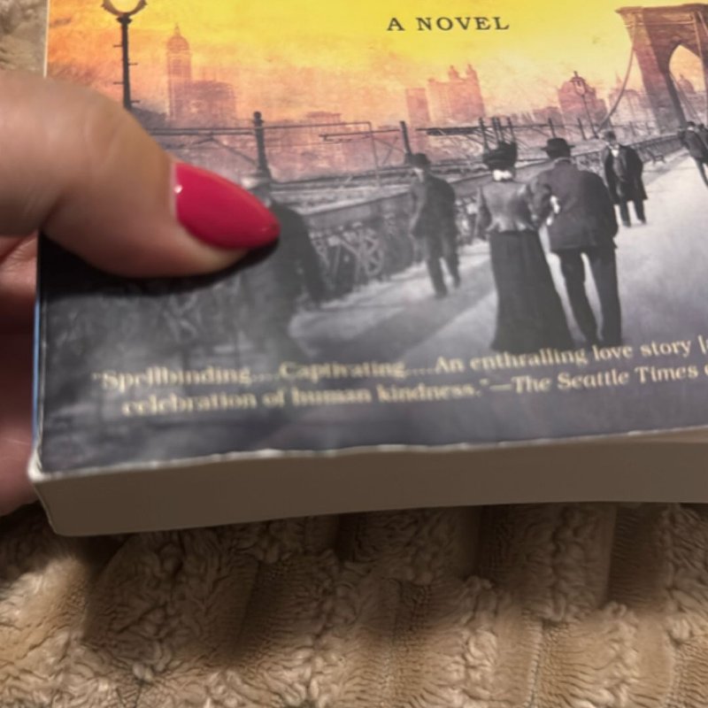 Where the Light Enters