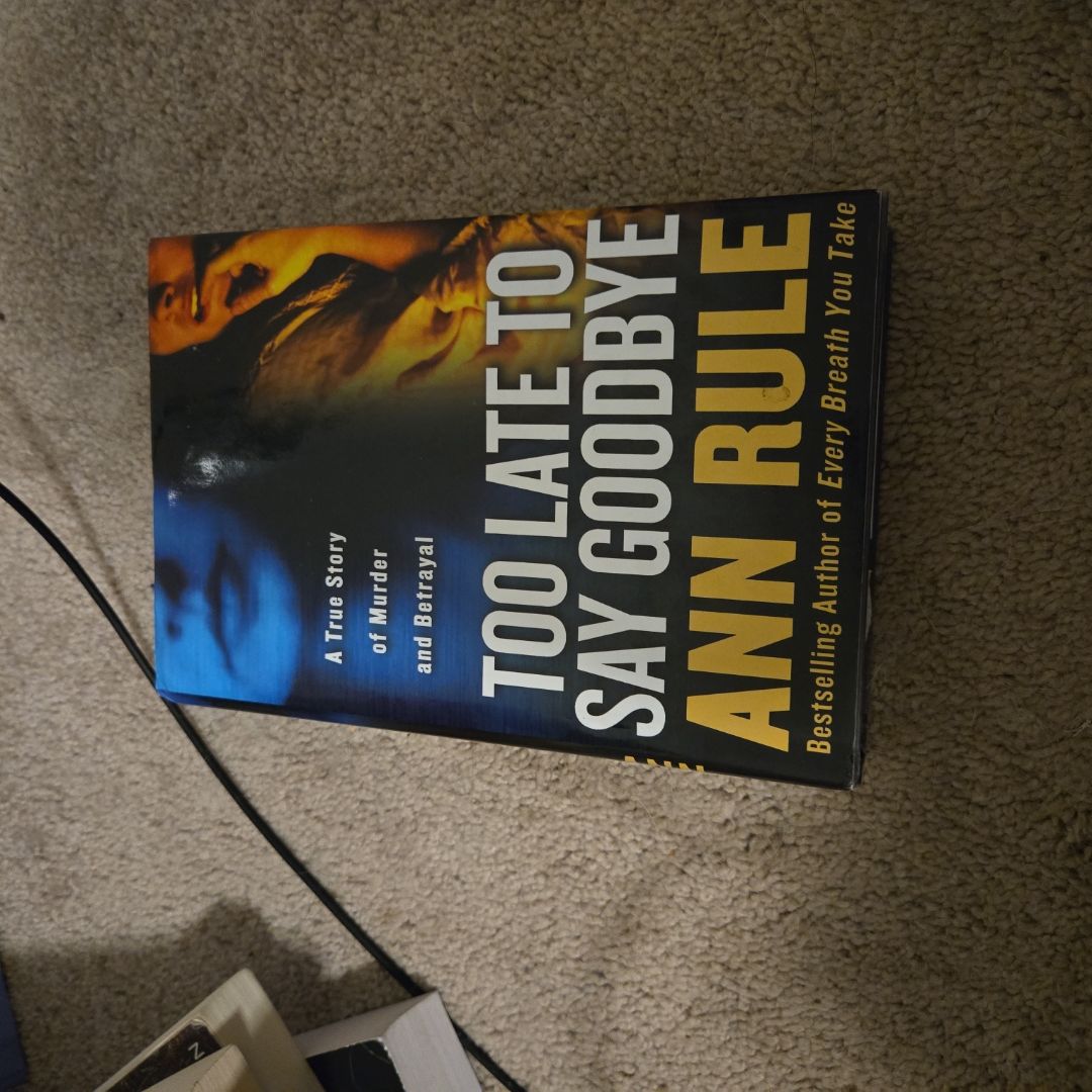 Too Late to Say Goodbye