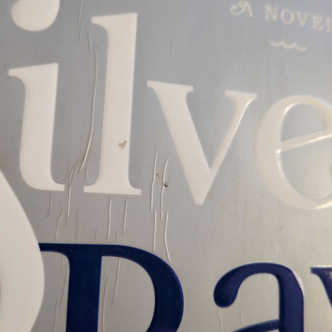 Silver Bay