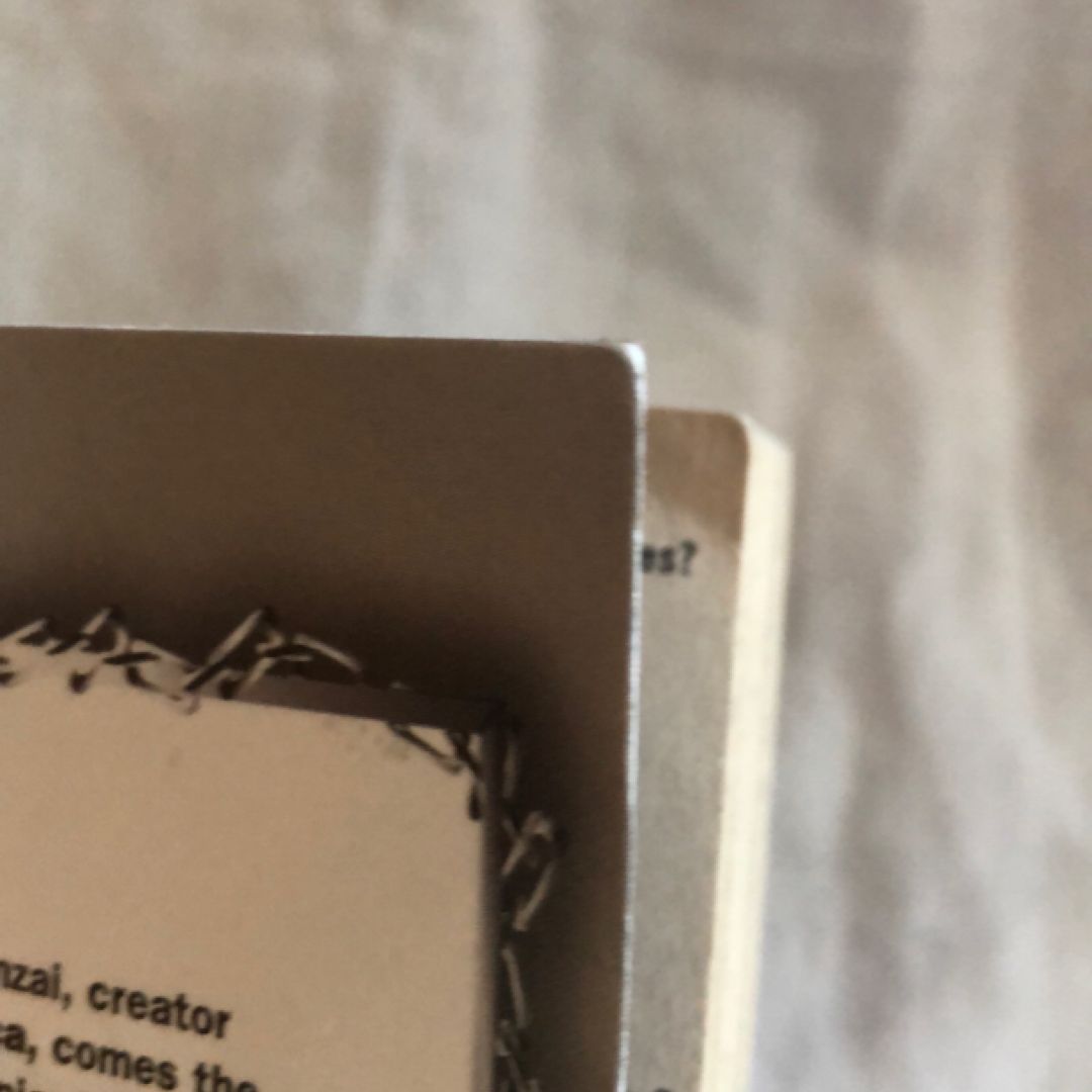 Märchen Awakens Romance 5