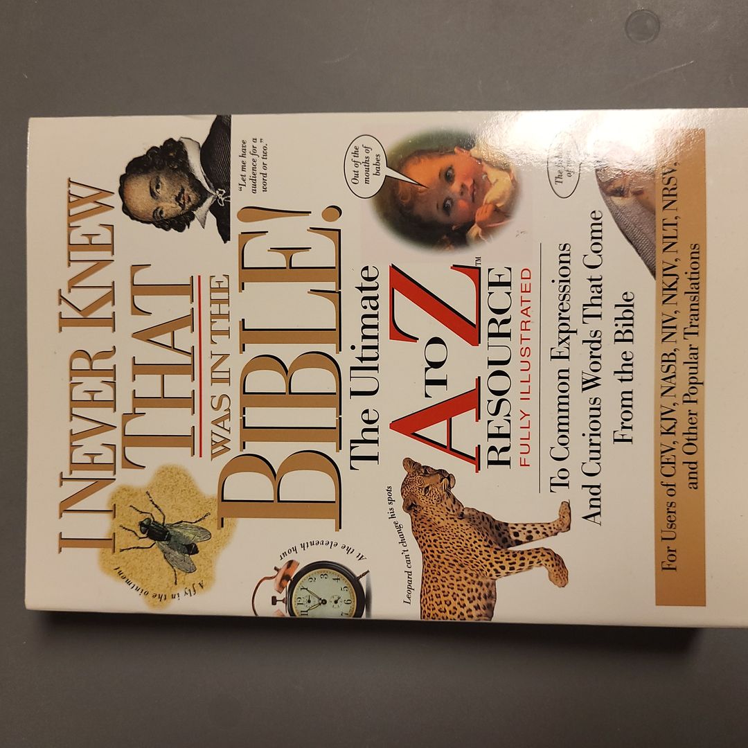 I Never Knew That Was in the Bible!