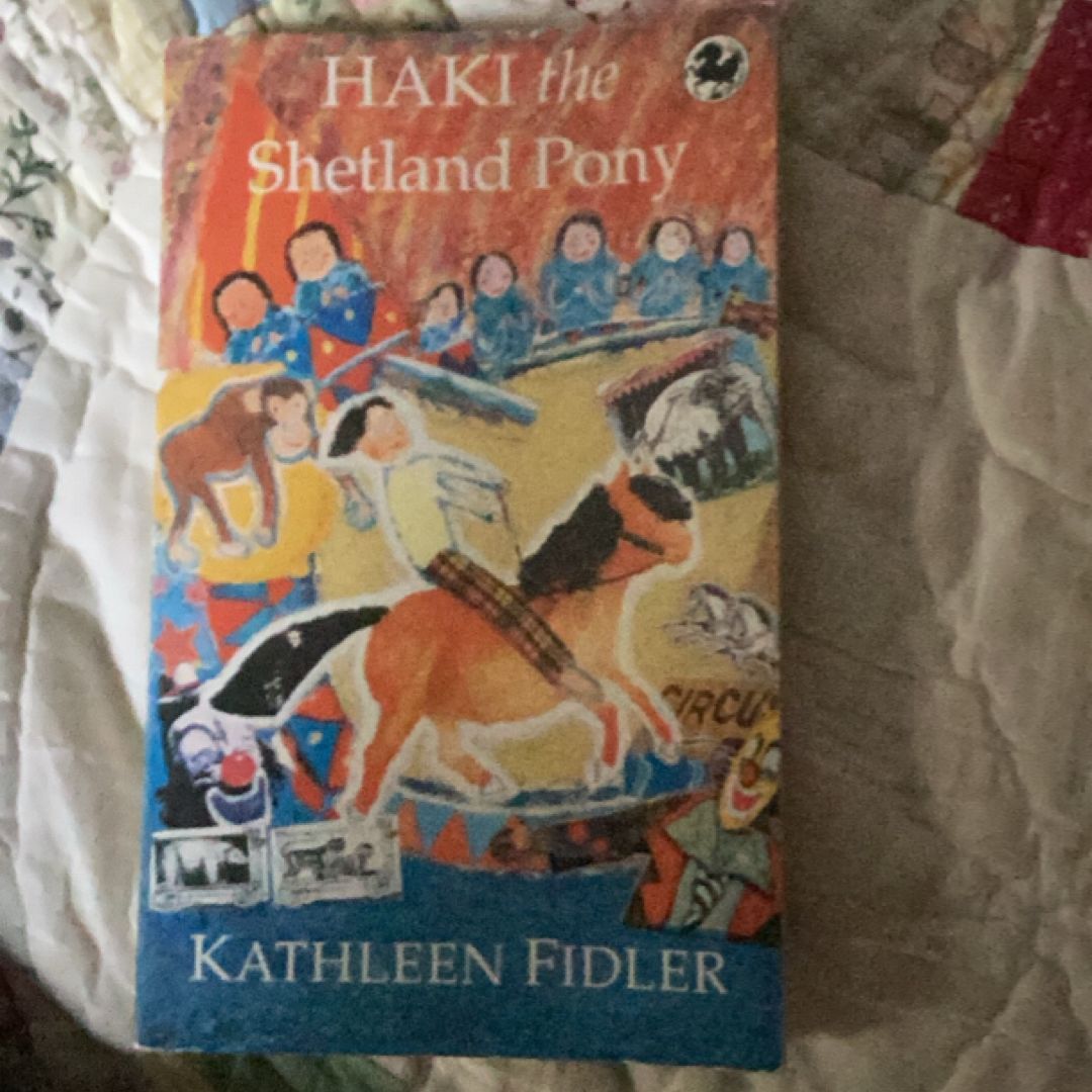 Haki the Shetland Pony