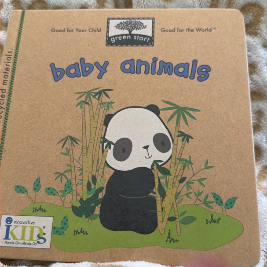 Baby Animals