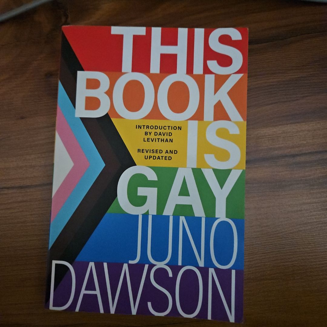This Book Is Gay