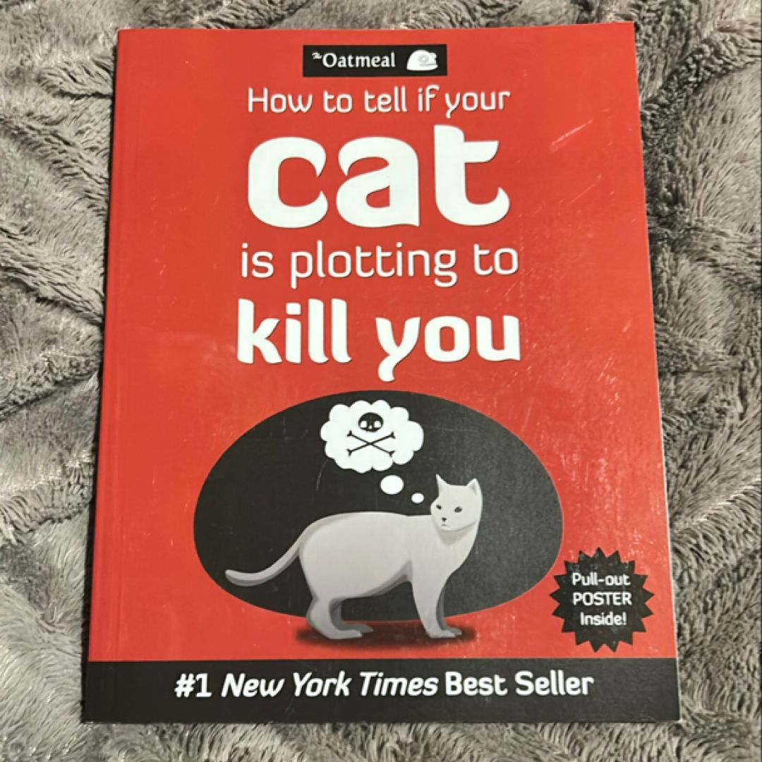 How to Tell If Your Cat Is Plotting to Kill You