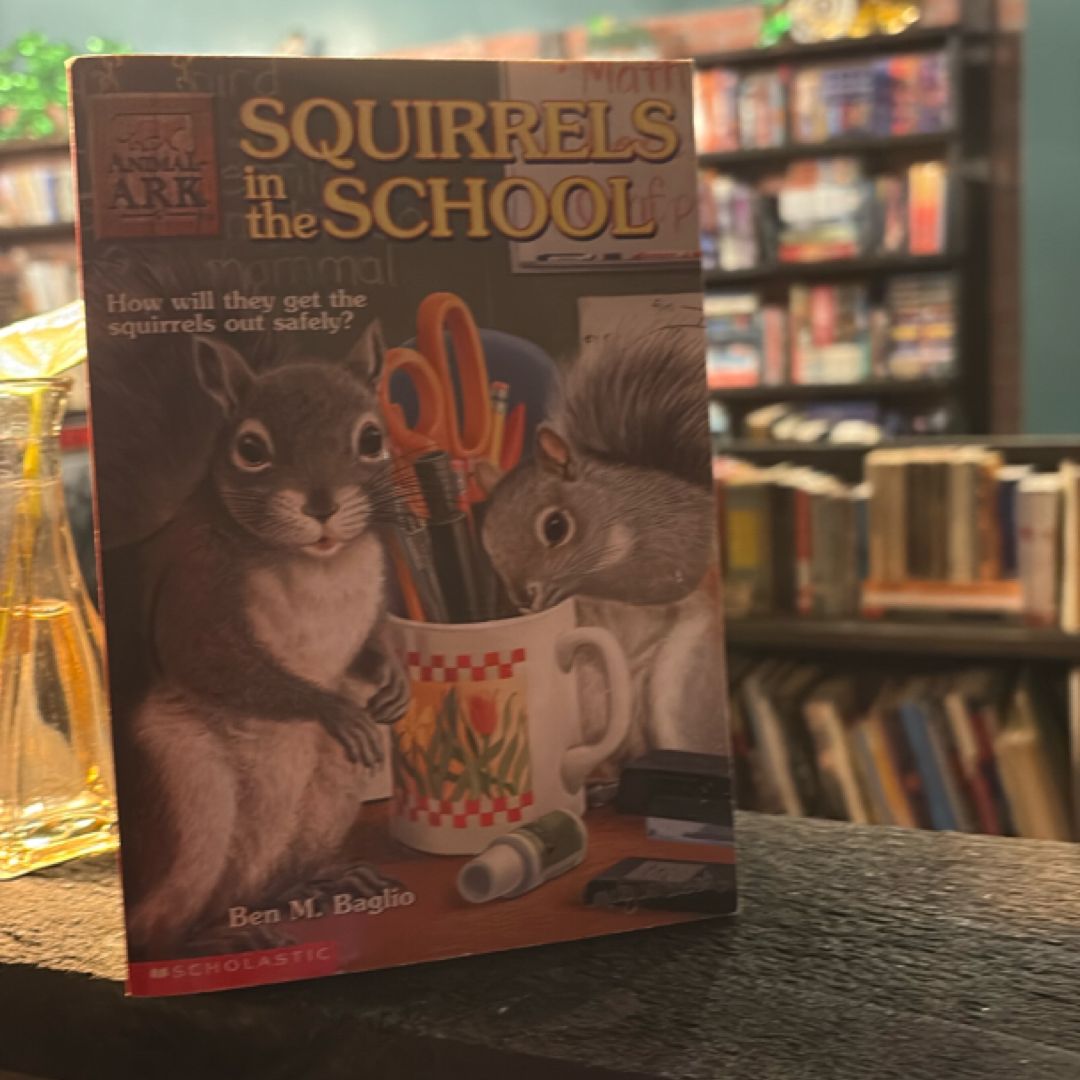 Squirrels in the School