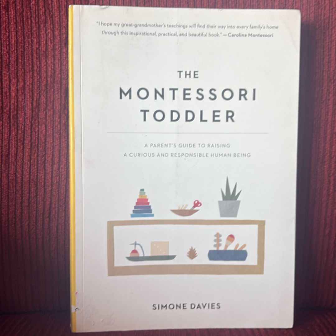 The Montessori Toddler