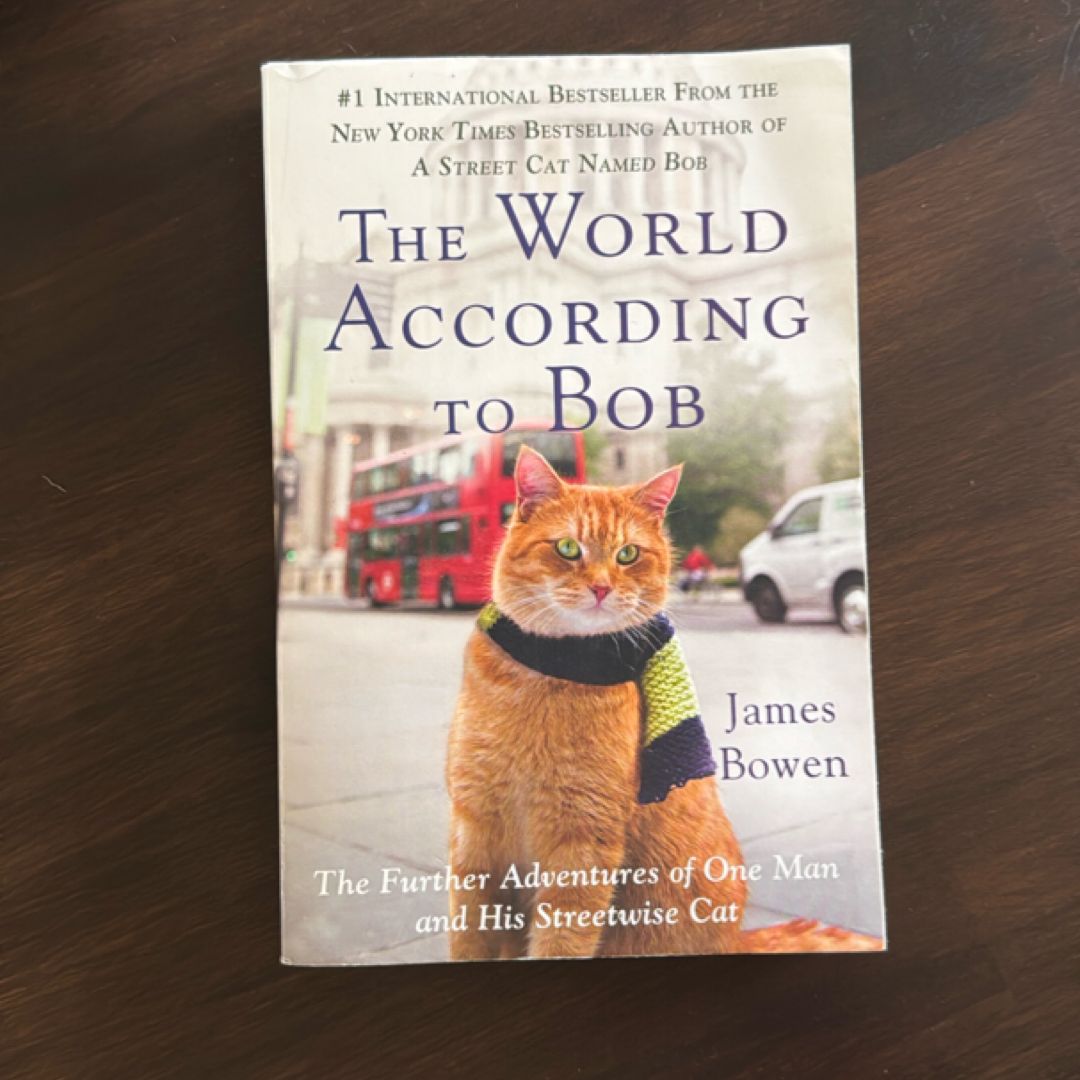 The World According to Bob