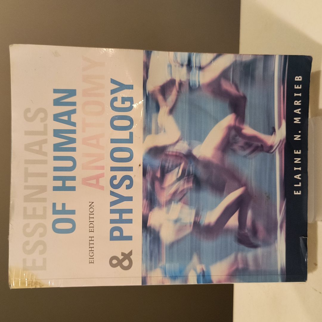 Essentials of Human Anatomy and Physiology Laboratory Manual by Elaine ...