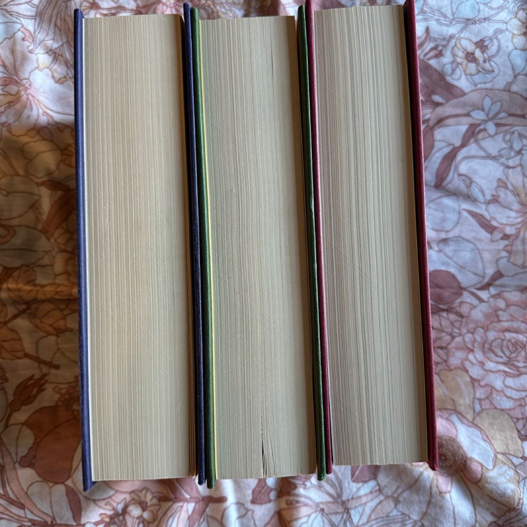 The Last Hours Series by Cassandra Clare Waterstones Edition