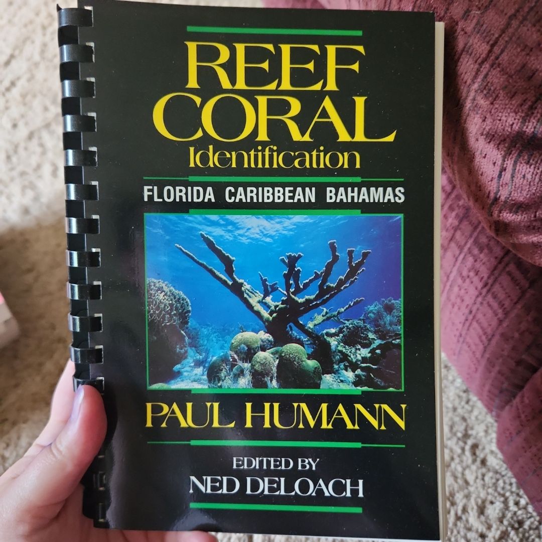 Reef Coral Identification Florida Caribbean Bahamas