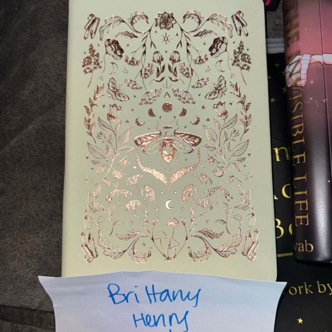 Fairyloot Emily Wilde journal 