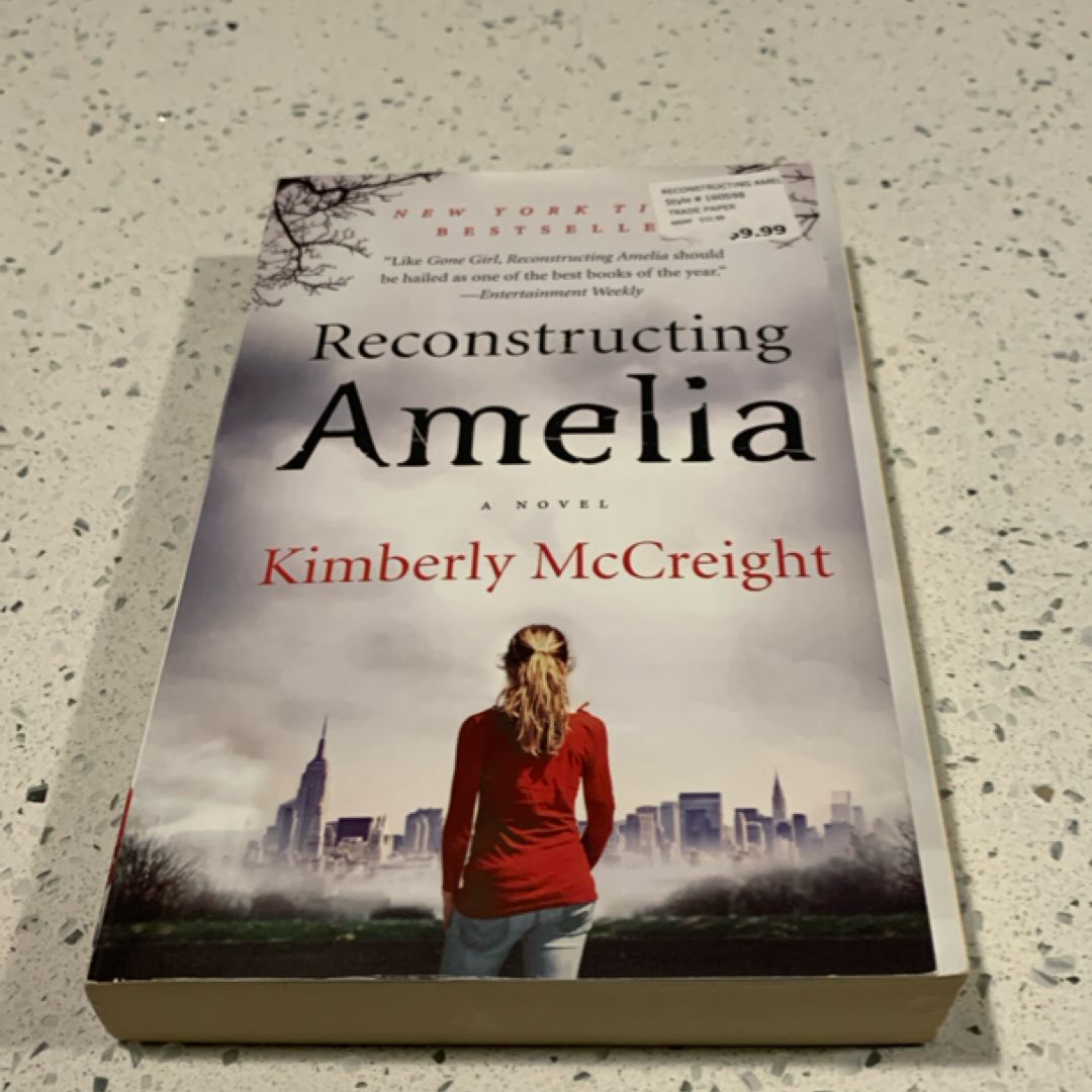 Reconstructing Amelia