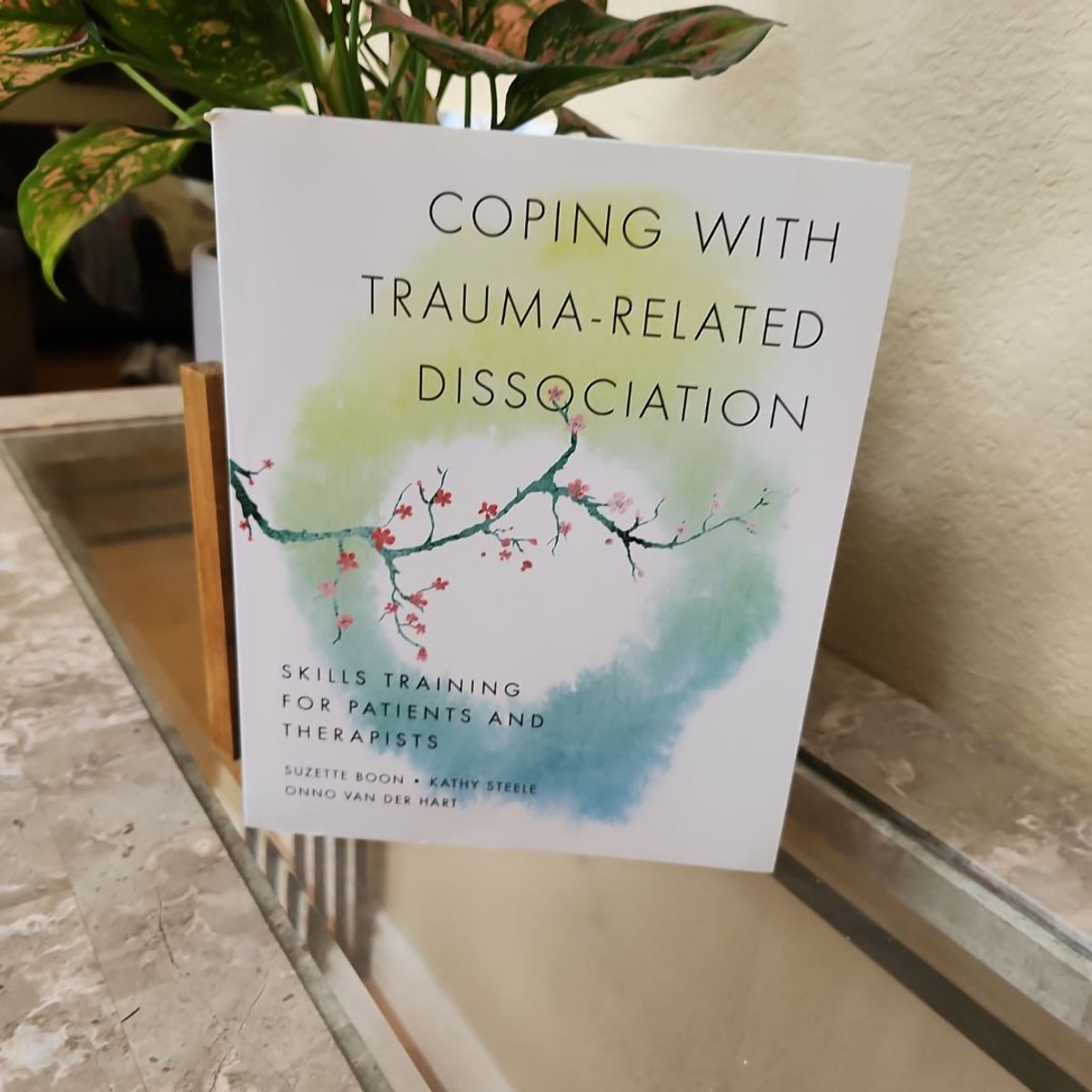 Coping with Trauma-Related Dissociation by Suzette Boon, Kathy
