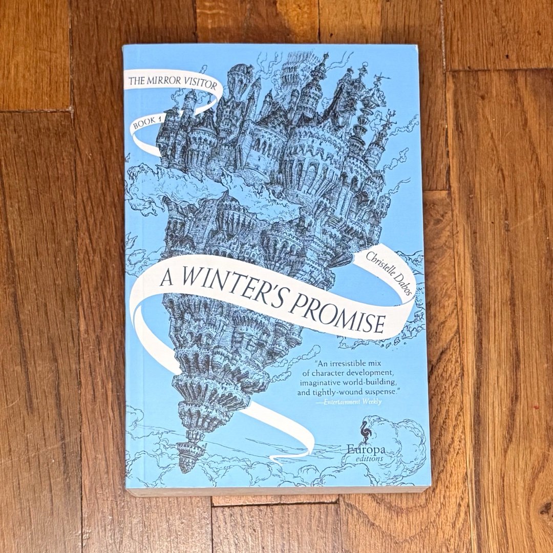 A Winter's Promise The Mirror Visitor Book 1