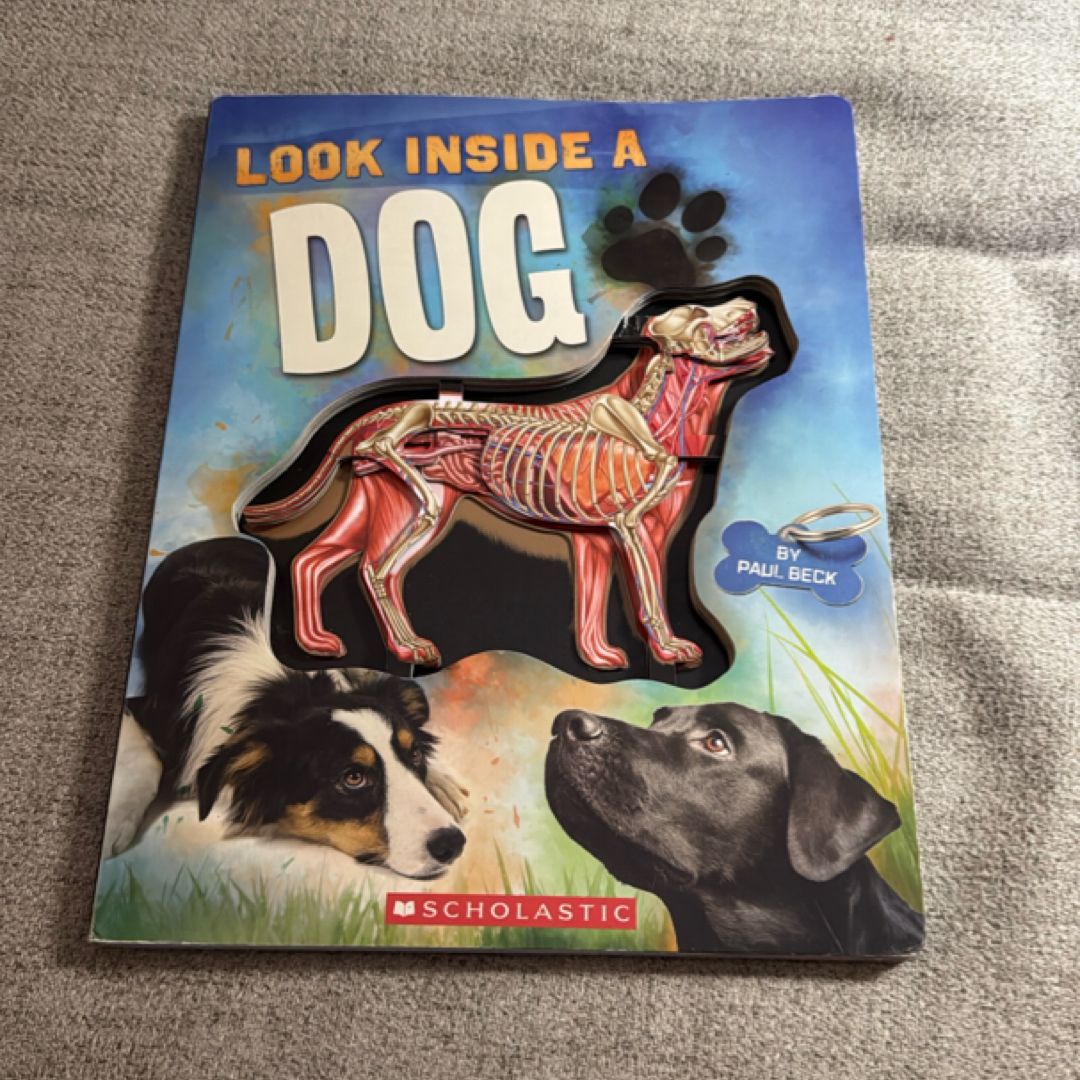 Look Inside a Dog