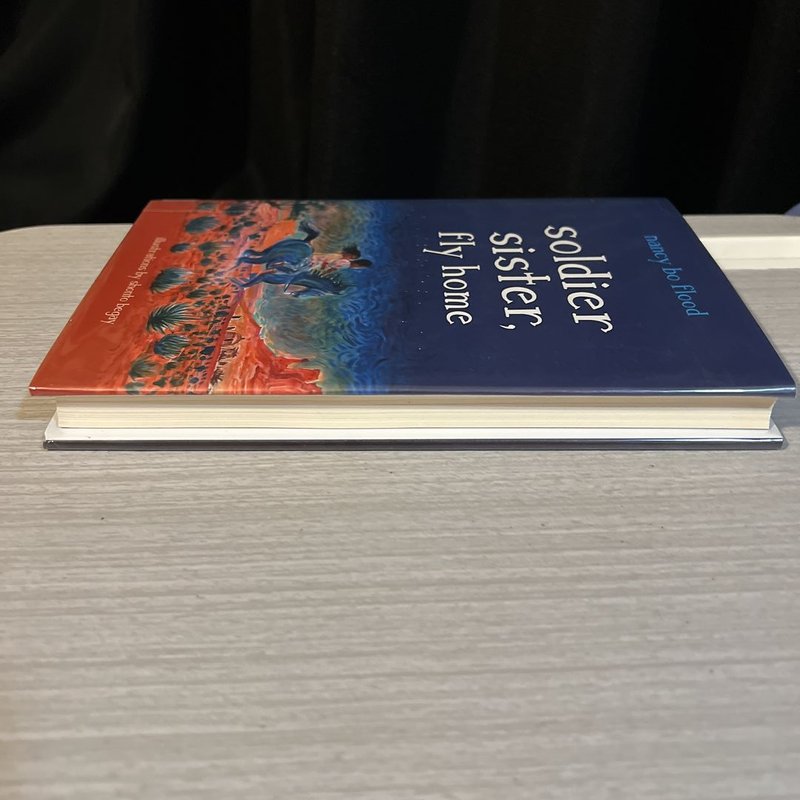 Soldier Sister, Fly Home