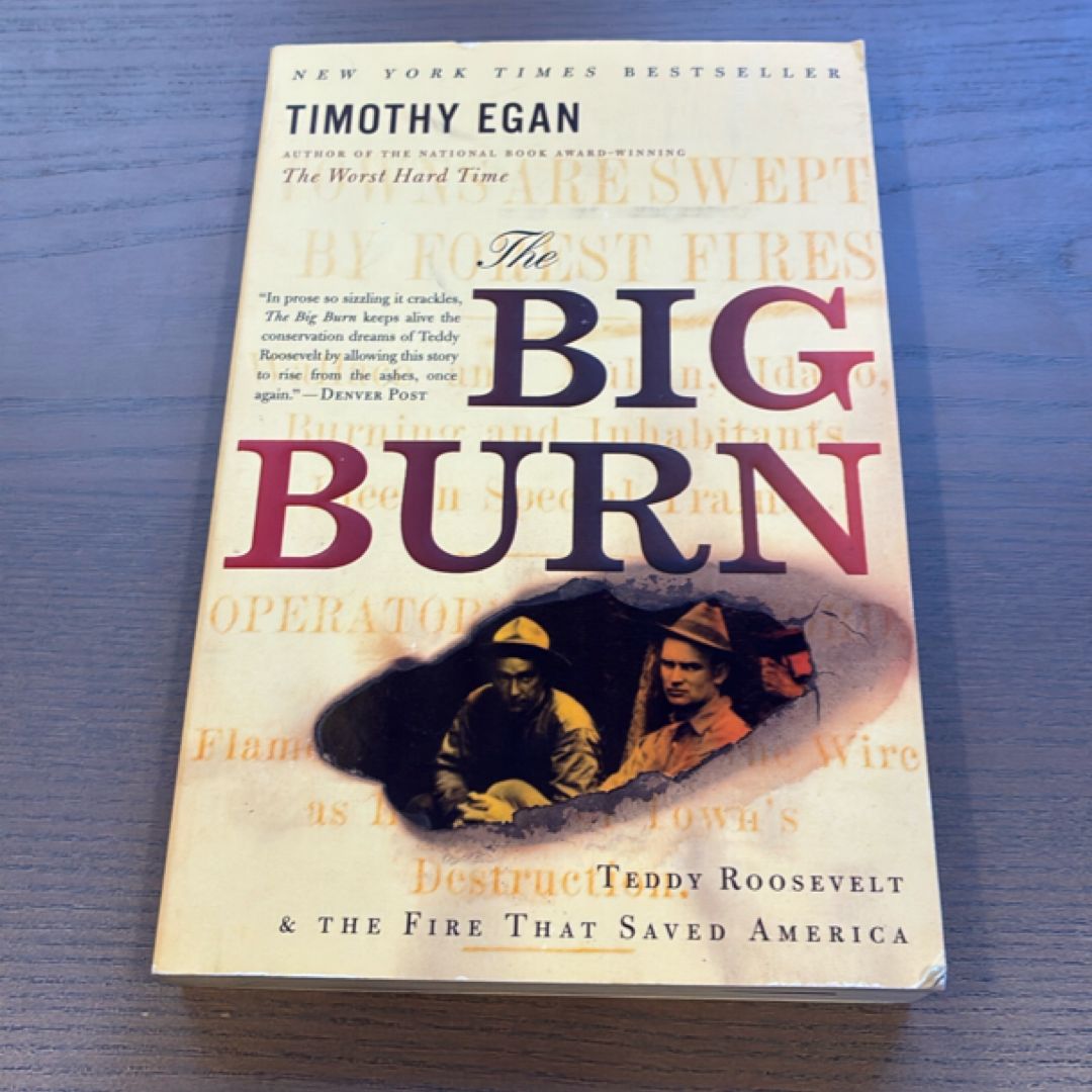 The Big Burn