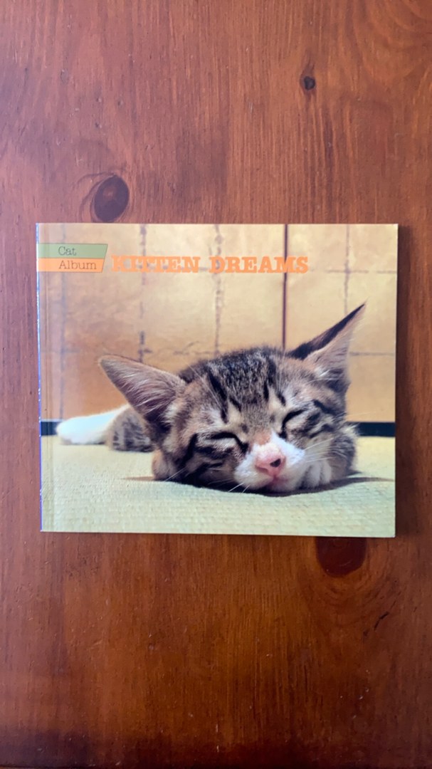 Kitten Dreams