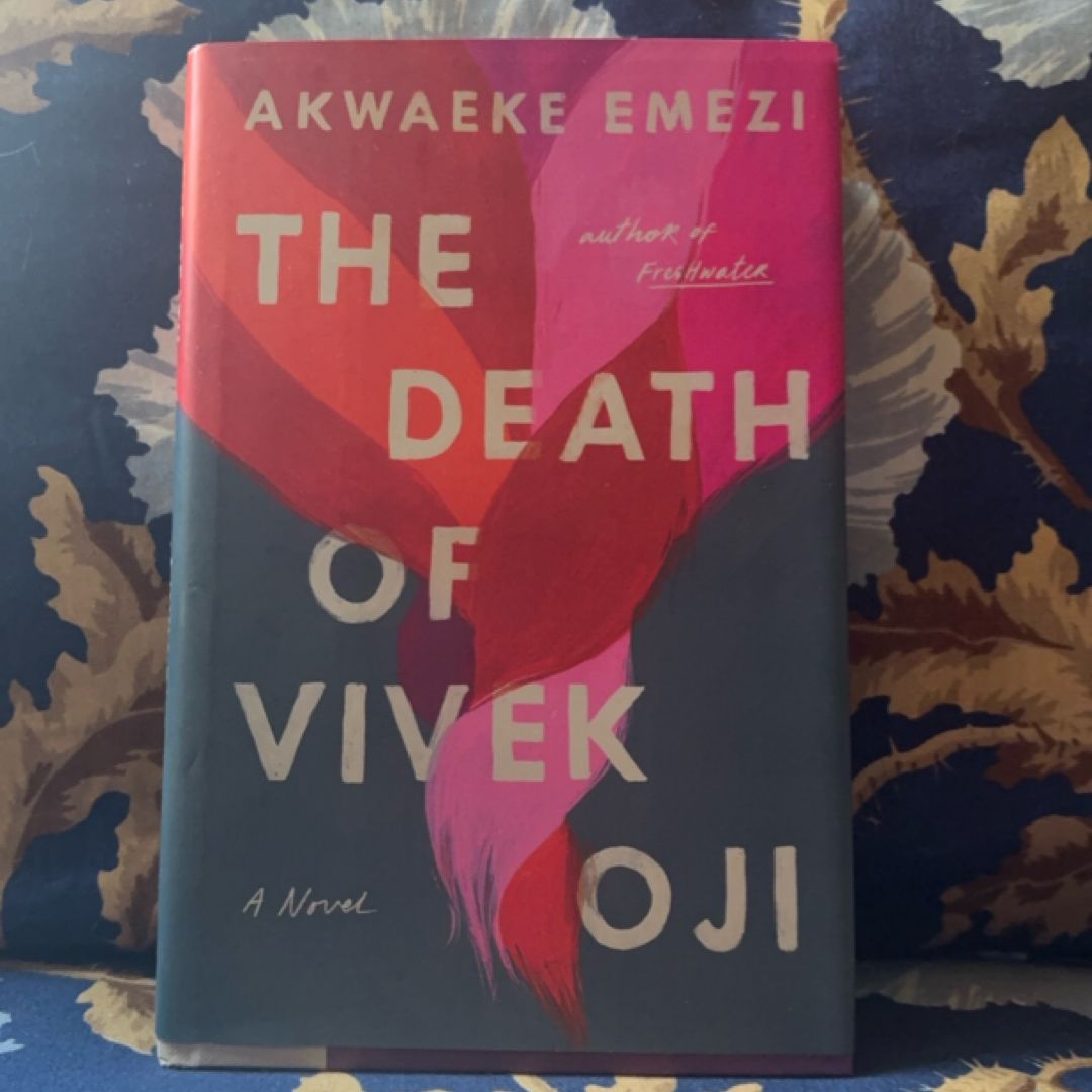The Death of Vivek Oji