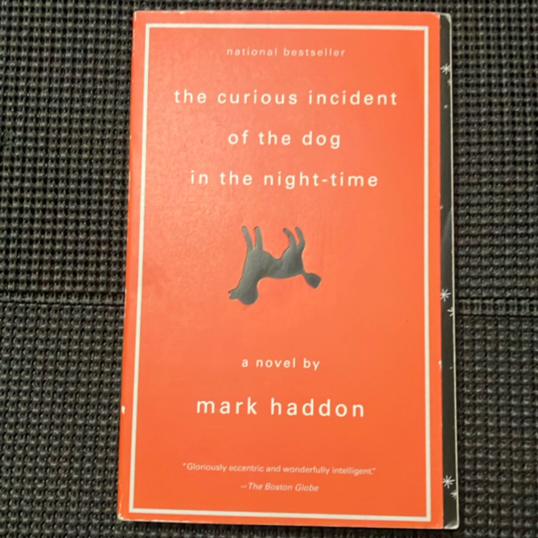 The Curious Incident of the Dog in the Night-Time