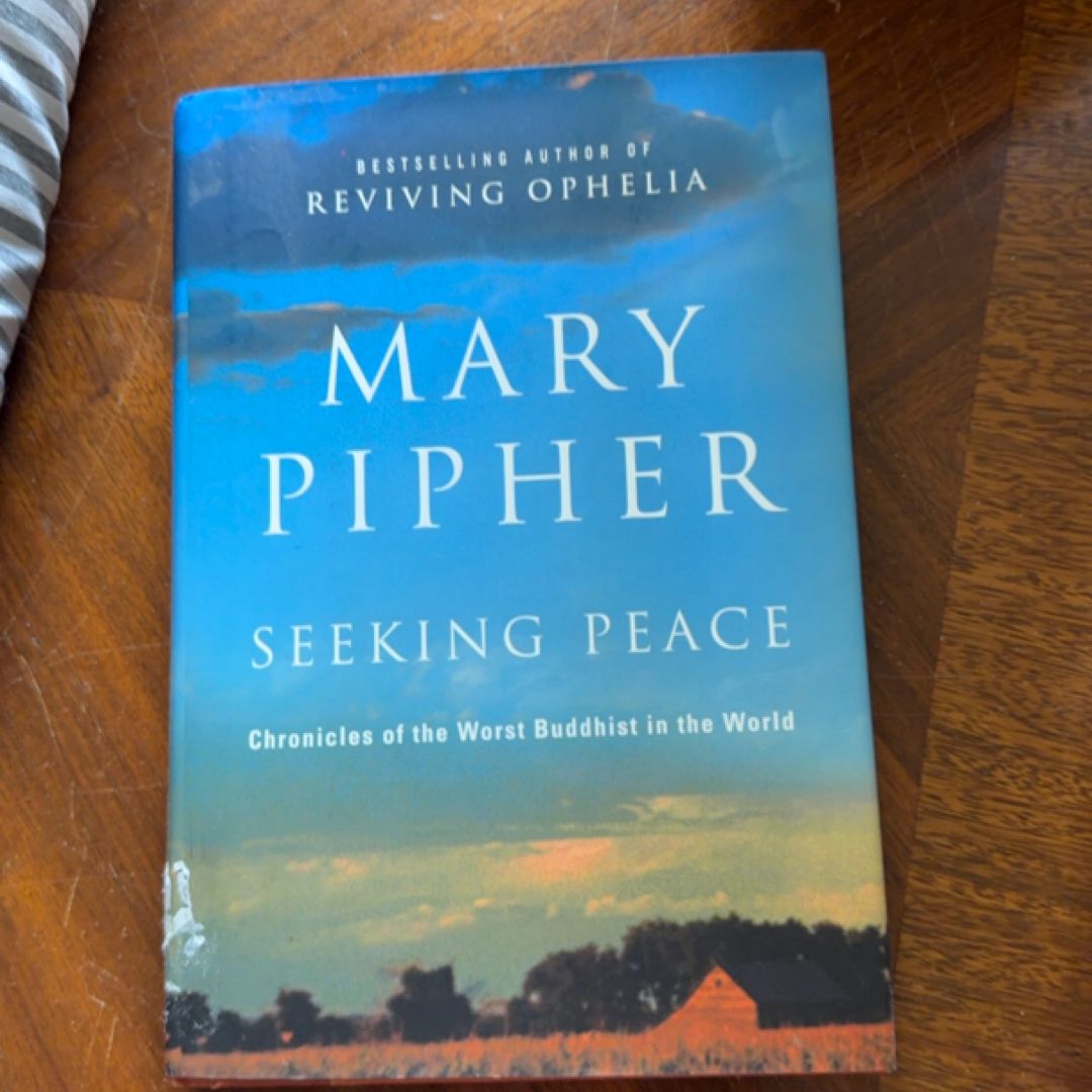 Seeking Peace