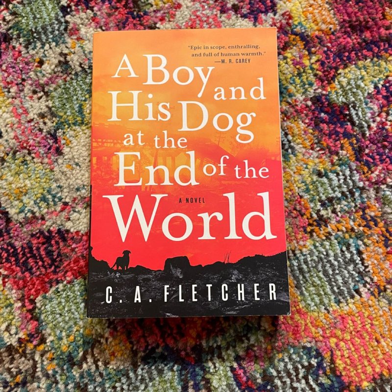 A Boy and His Dog at the End of the World