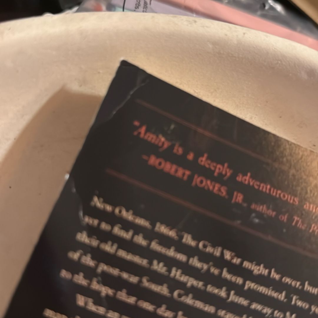 Amity by Nathan Harris, Paperback | PangoBooks
