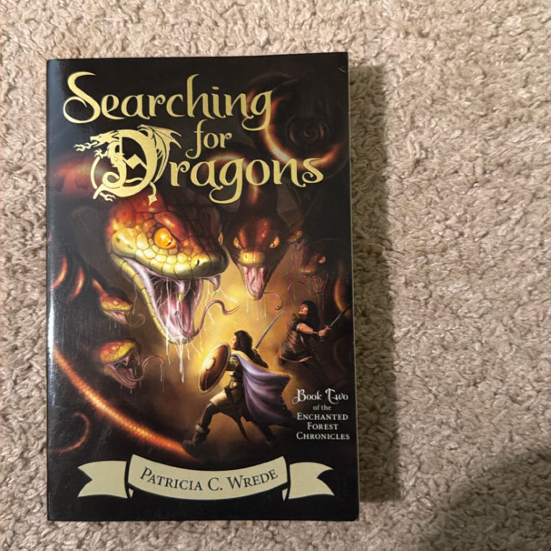 Searching for Dragons