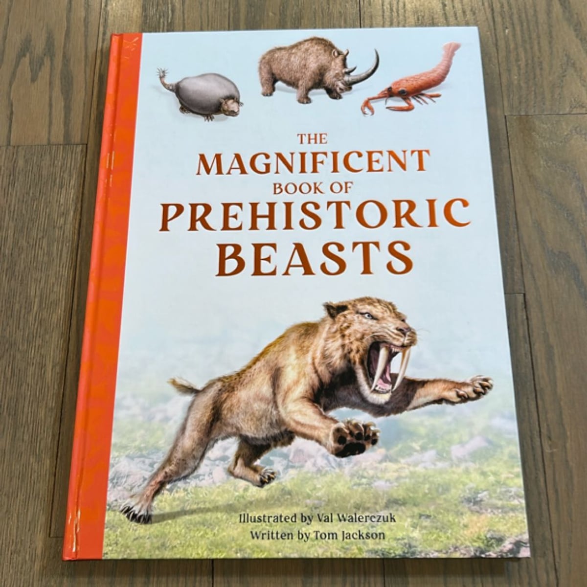 The Magnificent Book of Prehistoric Beasts by Tom Jackson