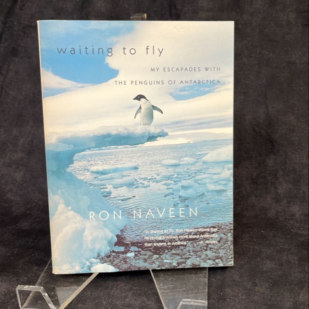 Waiting to Fly